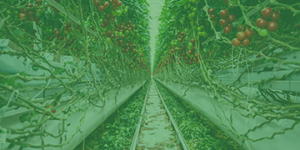 Horticulture-side-300x169